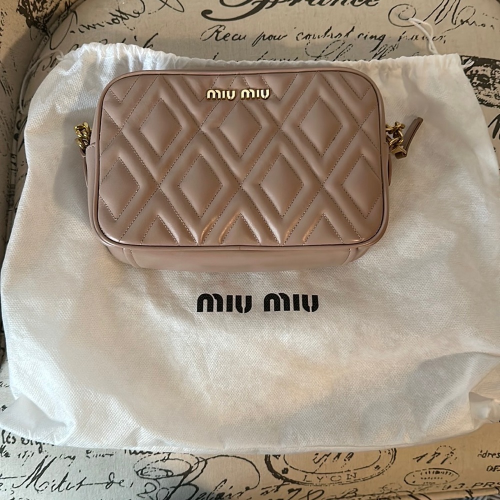 Miu Miu purse